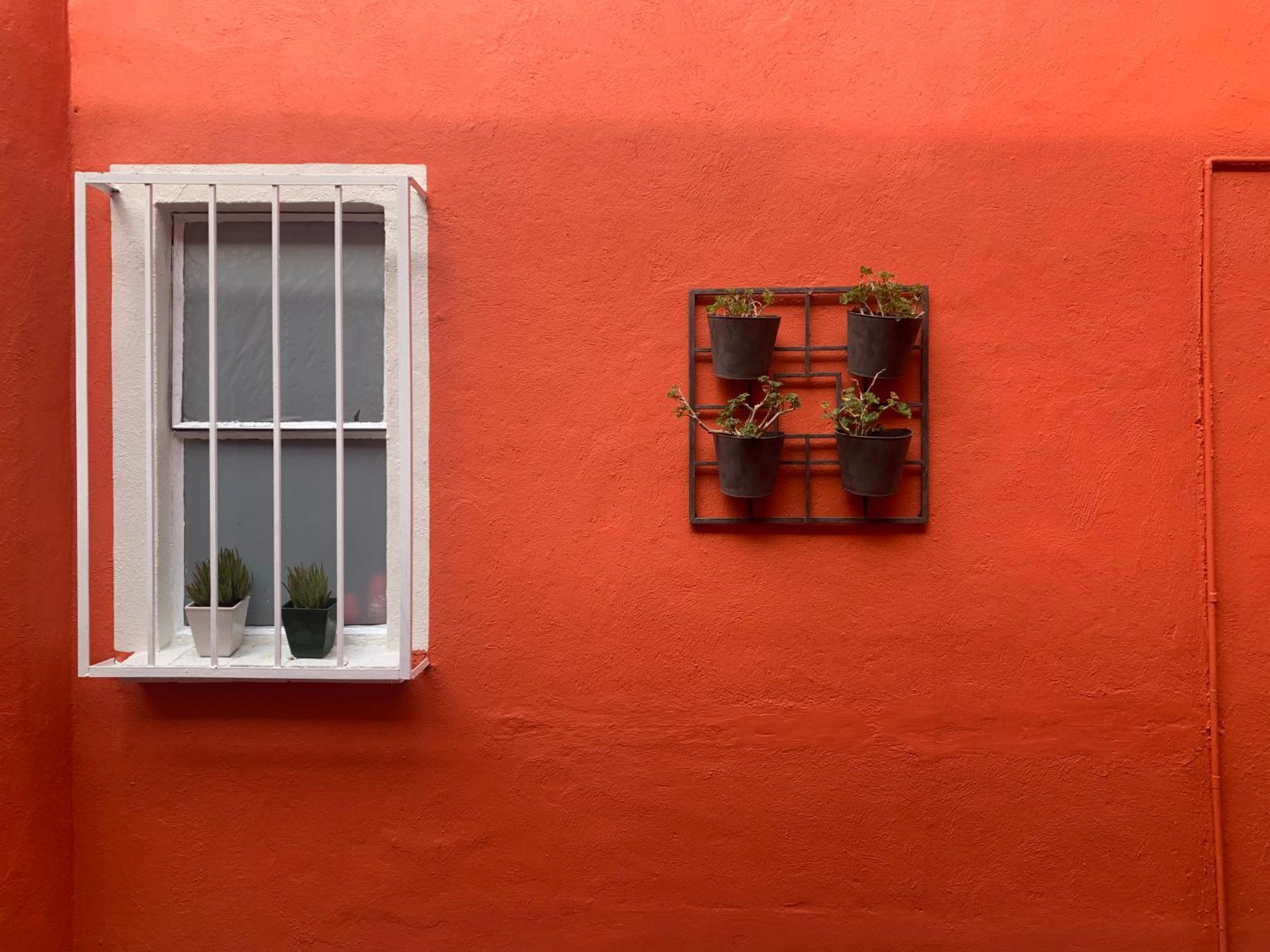 Villa Coyoacan Mexikóváros Kültér fotó