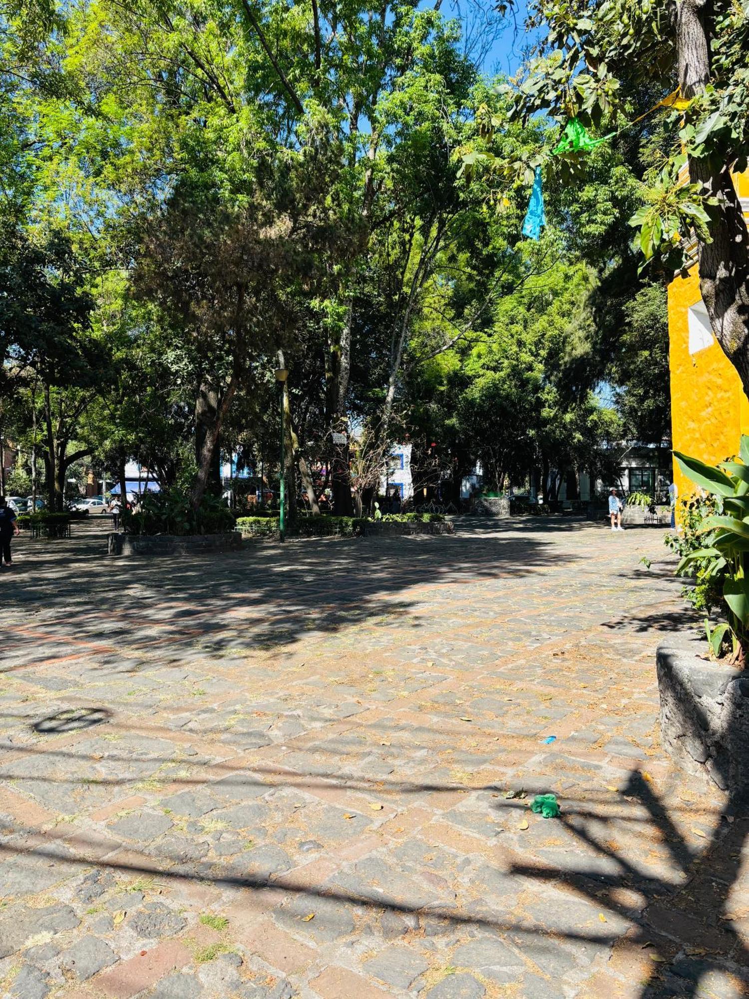 Villa Coyoacan Mexikóváros Kültér fotó